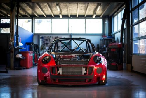 jpeg_36077_Meluz01.jpeg (Copy)