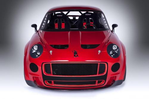 syrena_czysta_03 (Copy)